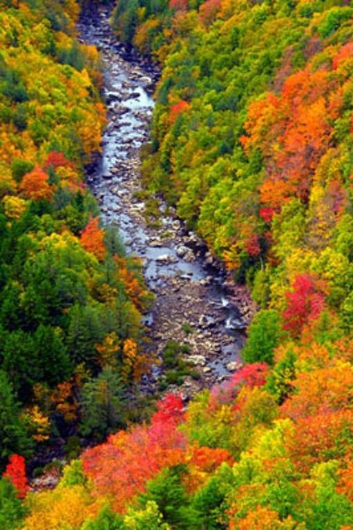 Blackwater Falls State Park Lodge Davis Εξωτερικό φωτογραφία